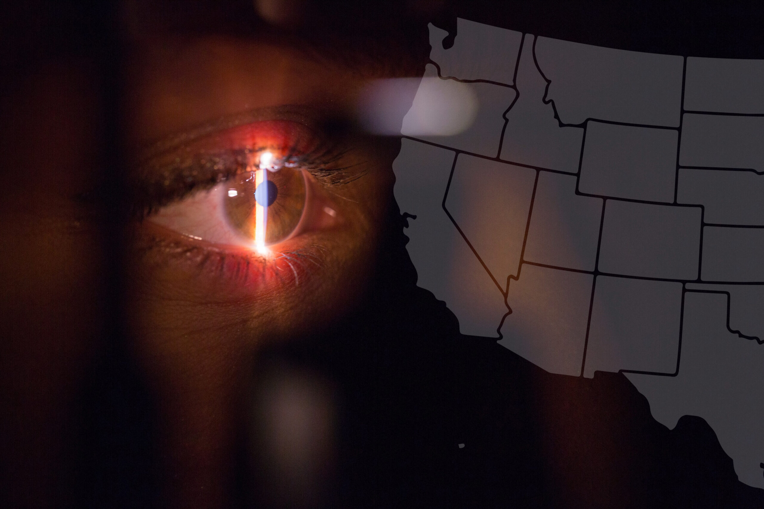 The “State” of Biometrics: Navigating the Murky Waters of Biometric Laws in the U.S.